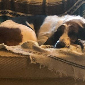 Meet your Posher, Lorie